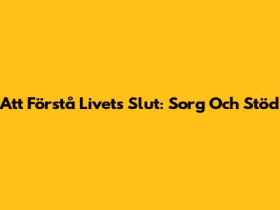 Att Förstå Livets Slut: Sorg Och Stöd