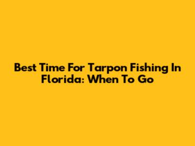 Best Time For Tarpon Fishing In Florida: When To Go