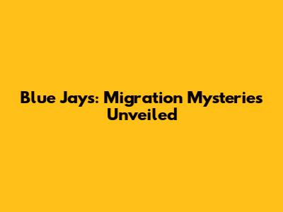 Blue Jays: Migration Mysteries Unveiled