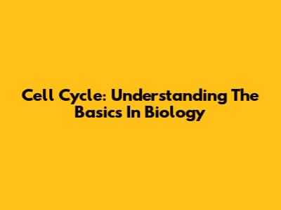 Cell Cycle: Understanding The Basics In Biology
