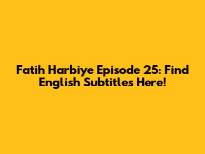Fatih Harbiye Episode 25: Find English Subtitles Here!