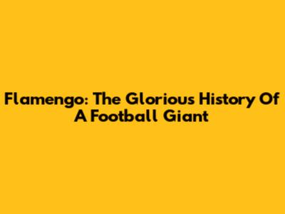 Flamengo: The Glorious History Of A Football Giant