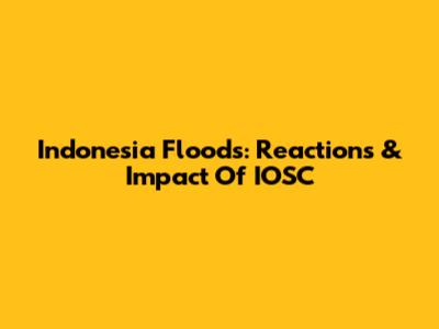 Indonesia Floods: Reactions & Impact Of IOSC