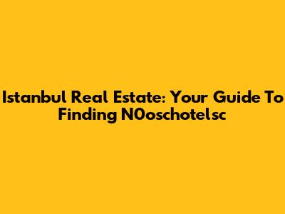 Istanbul Real Estate: Your Guide To Finding N0oschotelsc