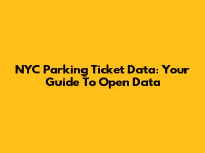 NYC Parking Ticket Data: Your Guide To Open Data