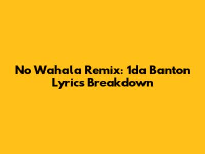 No Wahala Remix: 1da Banton Lyrics Breakdown