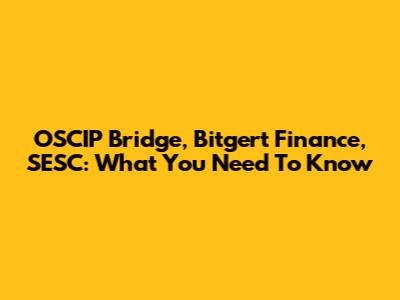 OSCIP Bridge, Bitgert Finance, SESC: What You Need To Know
