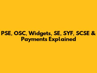 PSE, OSC, Widgets, SE, SYF, SCSE & Payments Explained