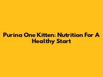 Purina One Kitten: Nutrition For A Healthy Start