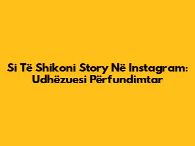 Si Të Shikoni Story Në Instagram: Udhëzuesi Përfundimtar